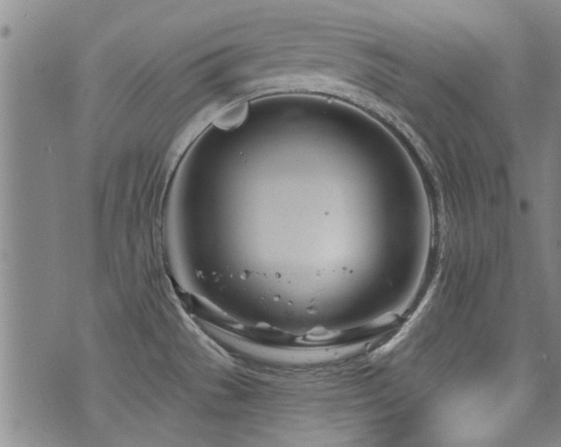 X0000072941529200607211049