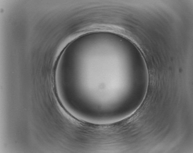 X0000072941531200607211049