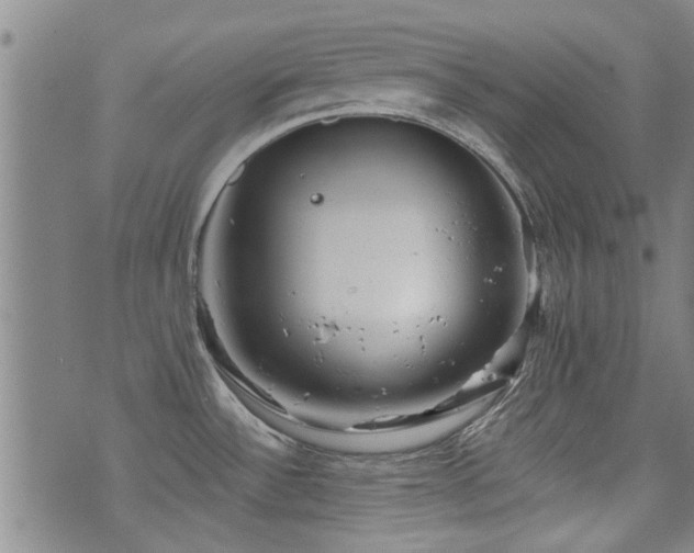 X0000072941532200607211049