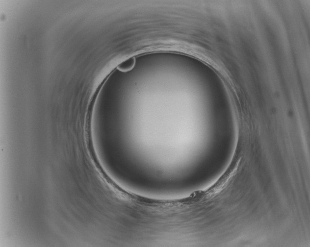 X0000072941533200607211049