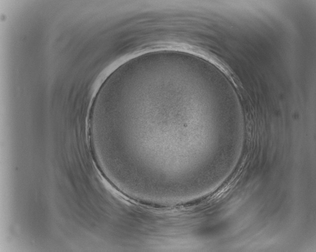 X0000072941535200607211049