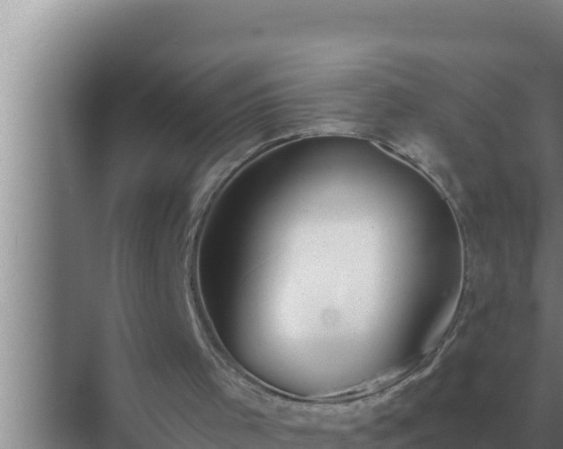 X0000072940001200607282215