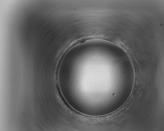 X0000072940002200607282215