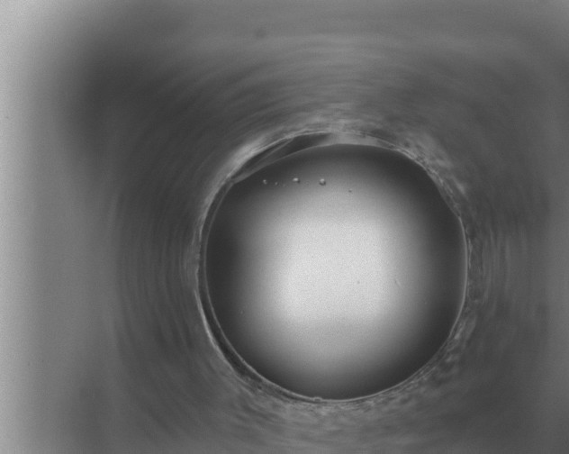 X0000072940003200607282215