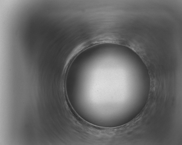 X0000072940004200607282215