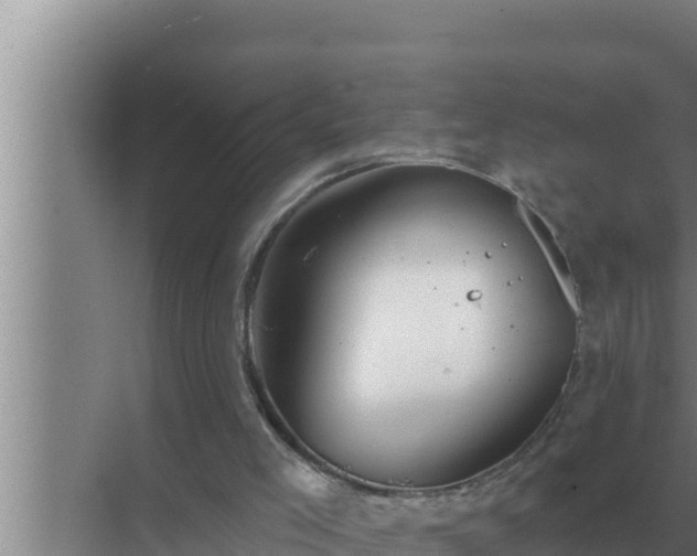 X0000072940005200607282215