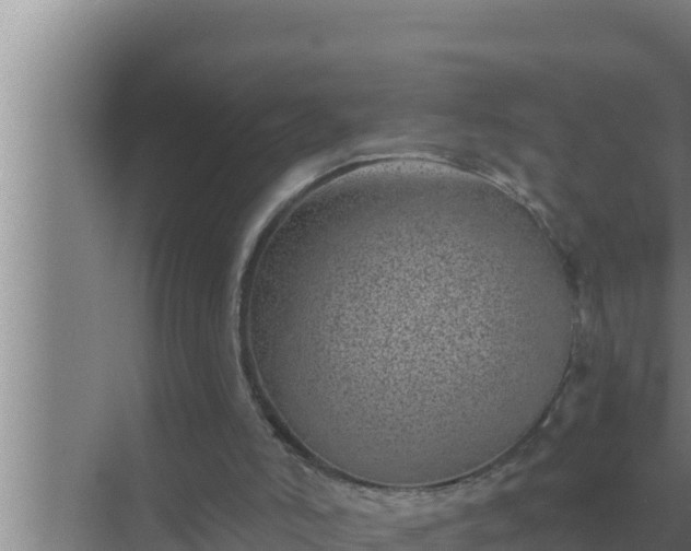 X0000072940006200607282215