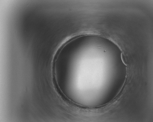 X0000072940008200607282215