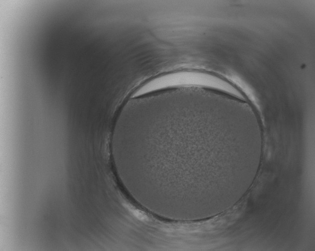 X0000072940009200607282215