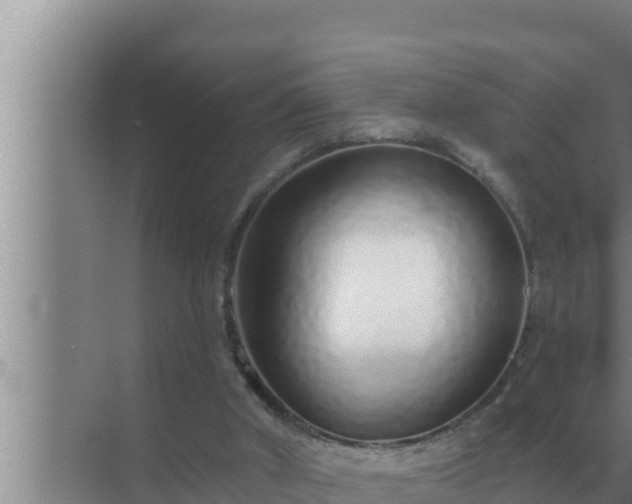 X0000072940010200607282215