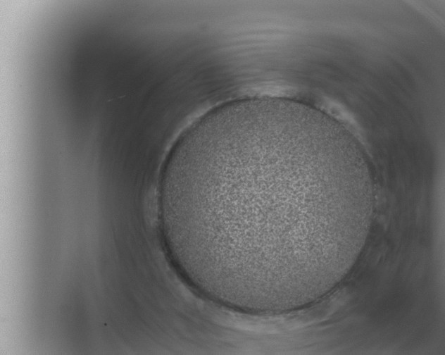 X0000072940012200607282215