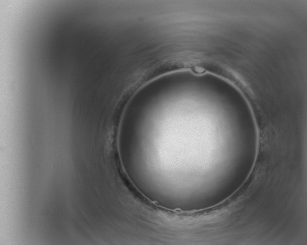 X0000072940018200607282215