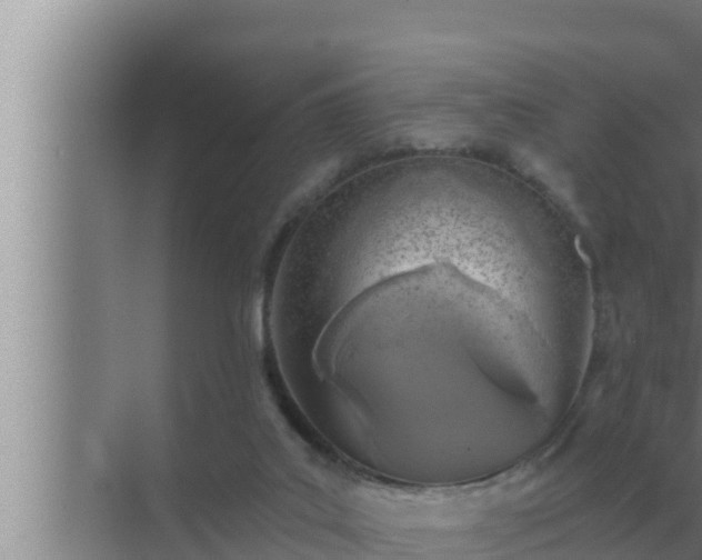 X0000072940019200607282215