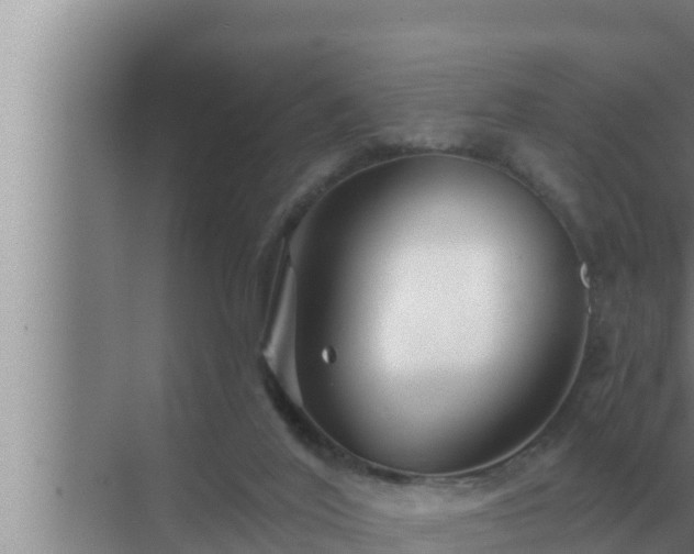 X0000072940020200607282215