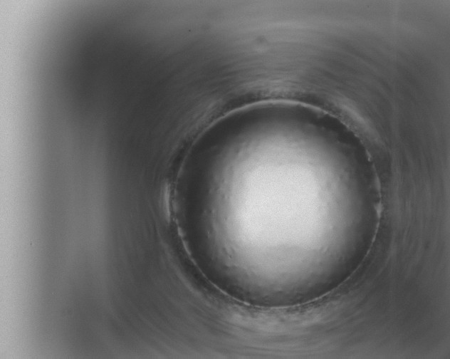 X0000072940022200607282215