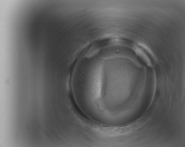 X0000072940023200607282215