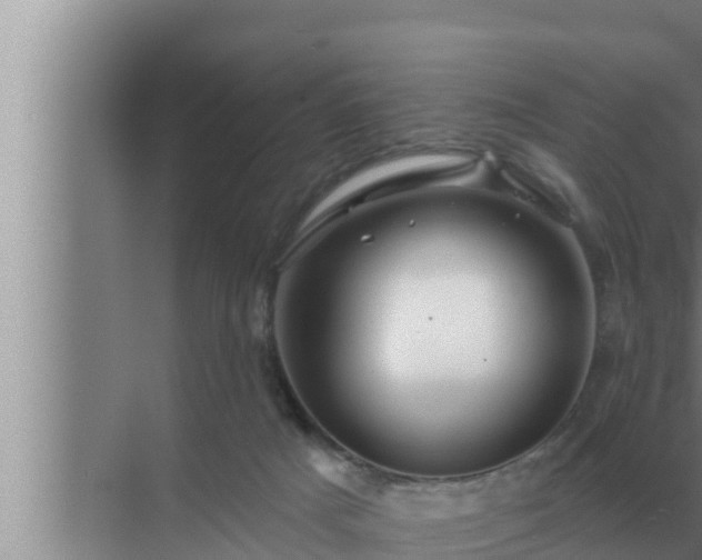 X0000072940025200607282215