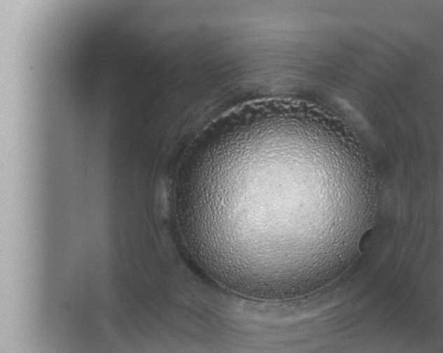 X0000072940026200607282215