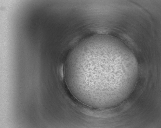 X0000072940028200607282215