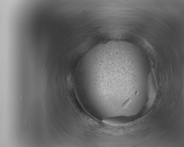 X0000072940029200607282215