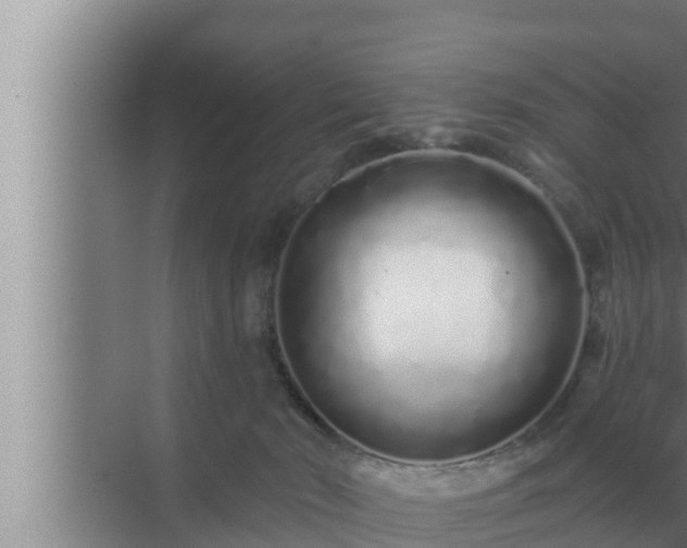 X0000072940030200607282215