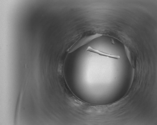 X0000072940033200607282215