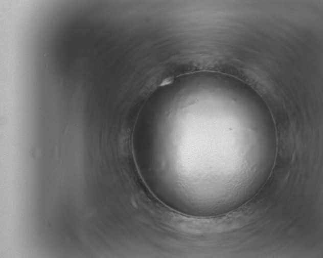 X0000072940034200607282215