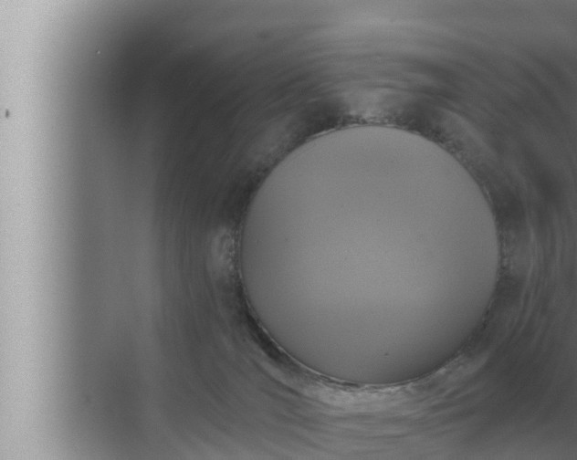 X0000072940036200607282215