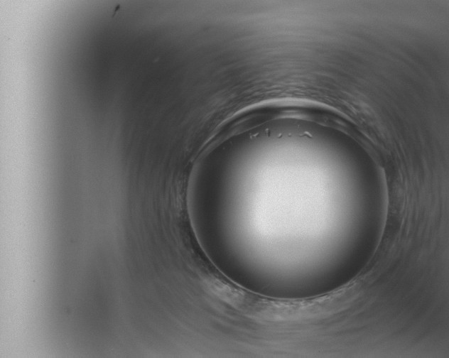 X0000072940037200607282215