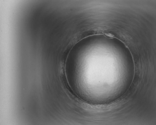 X0000072940038200607282215