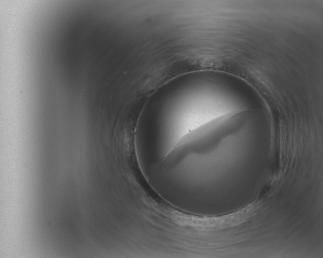 X0000072940039200607282215