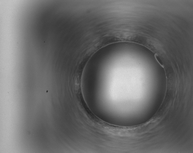 X0000072940040200607282215