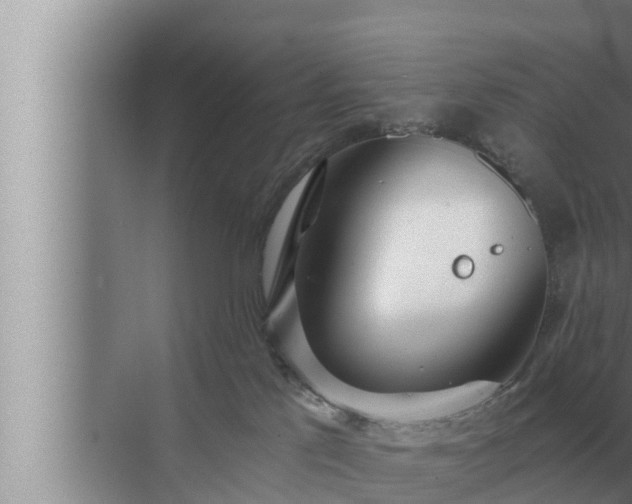 X0000072940041200607282215