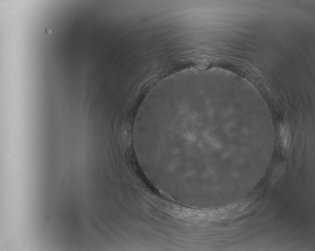 X0000072940043200607282215