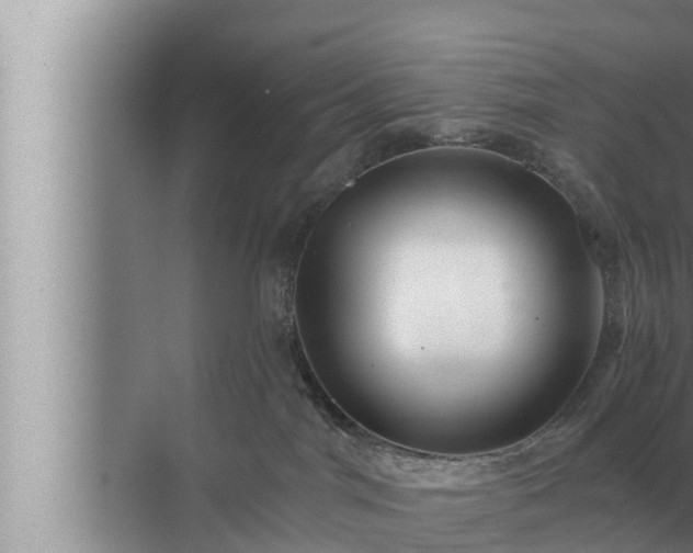 X0000072940044200607282215