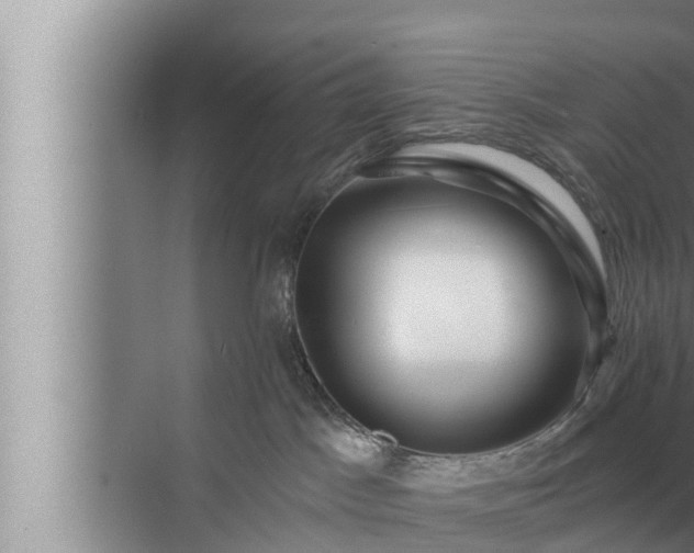 X0000072940045200607282215