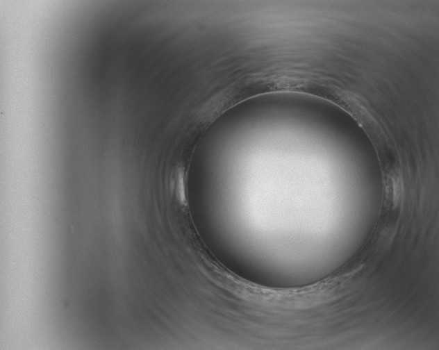 X0000072940046200607282215