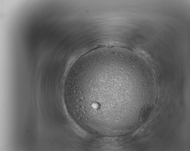 X0000072940049200607282214