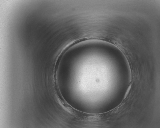 X0000072940050200607282214