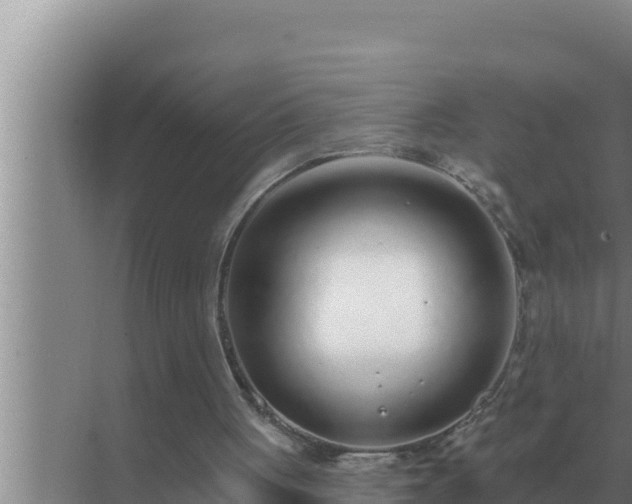 X0000072940051200607282214