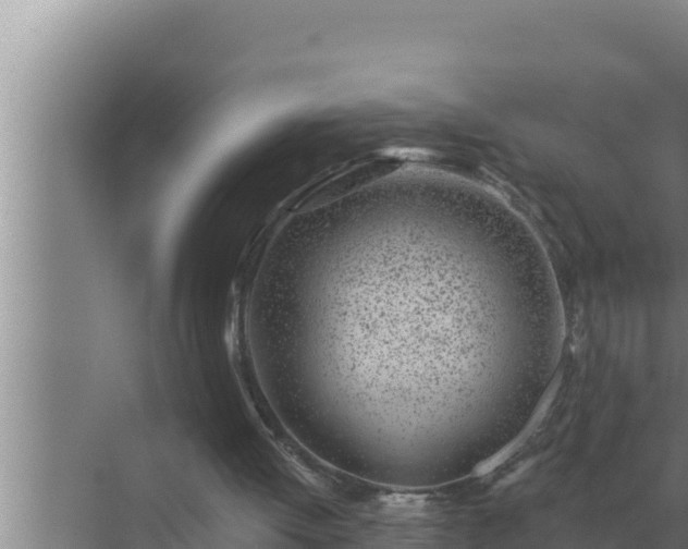 X0000072940052200607282214