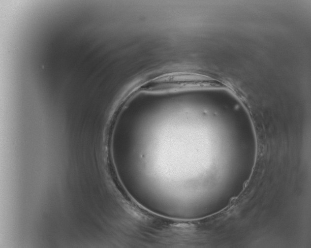 X0000072940053200607282214