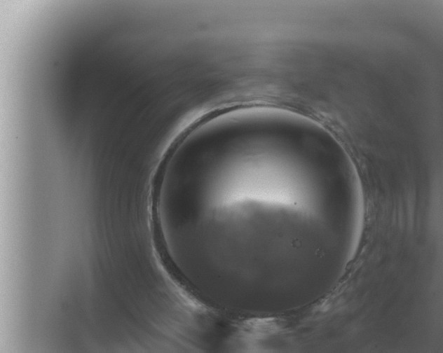 X0000072940054200607282214