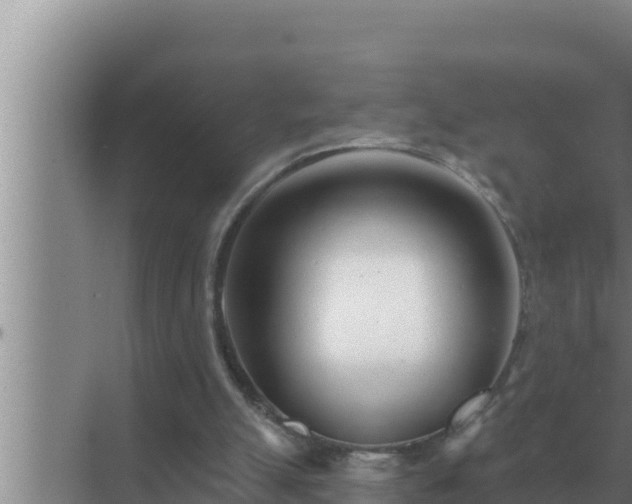 X0000072940055200607282214