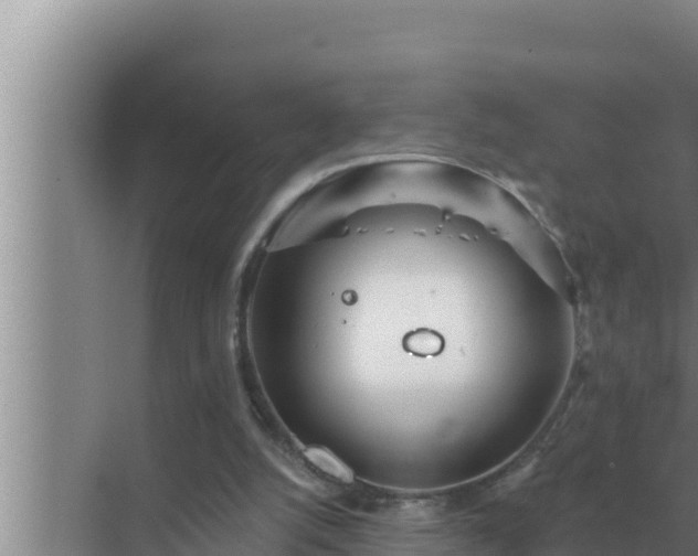 X0000072940056200607282214