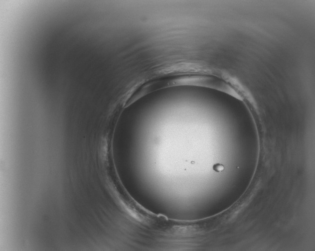 X0000072940057200607282214