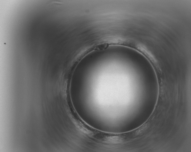 X0000072940058200607282214