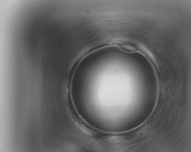 X0000072940059200607282214