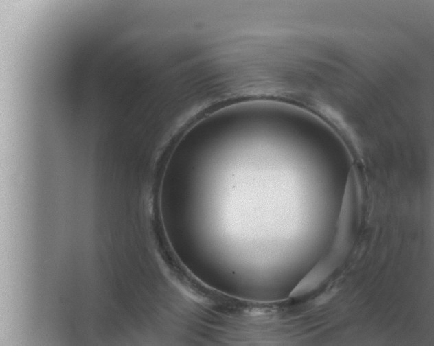 X0000072940060200607282214