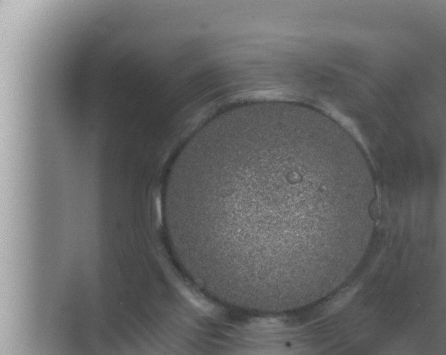 X0000072940061200607282214